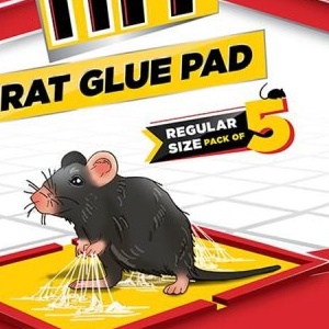 HIT Rat Glue Pad MRP 50/-( 5 UNITS )